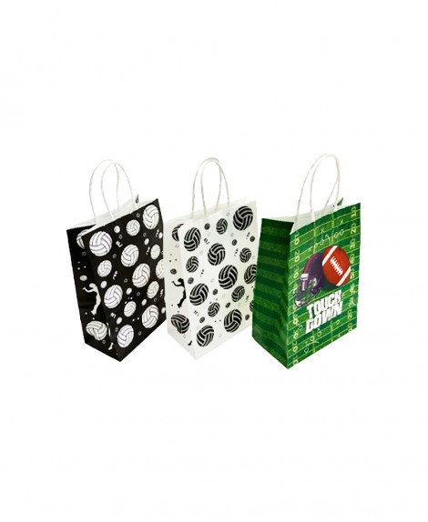 Bolsa  Craft  Pelotas  21 X 15  (12 Pza)