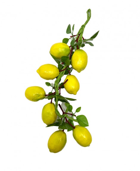Tira  Fruta  Limón