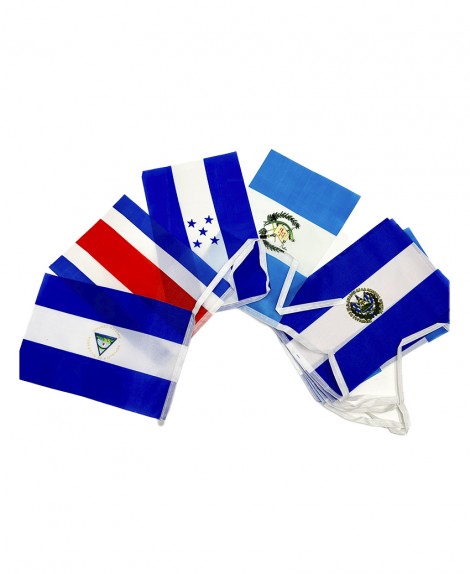 Set  Banderines  Centroamérica  29 X 19 cm  (Set de 10 Pza)