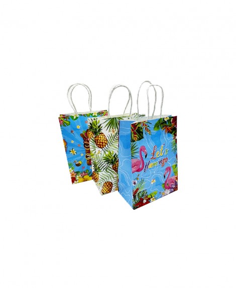 Bolsa  Craft  Tropical  21 X 15  (12 Pza)