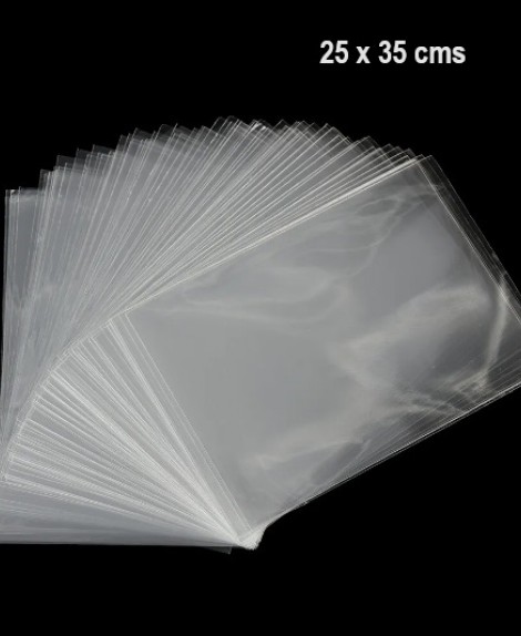 Bolsa  Celofán  Transparente  25 X 35  (100 Pza)