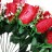 Rosa  Mama /Love  Individual  Con  Corazón  (20 Pza)