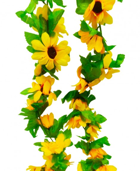 Tira  De  Girasol  # 56
