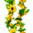 Tira  De  Girasol  # 56