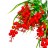 Ramo  Cereza  Grande  # 7