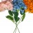 Ramo  Hortensia  