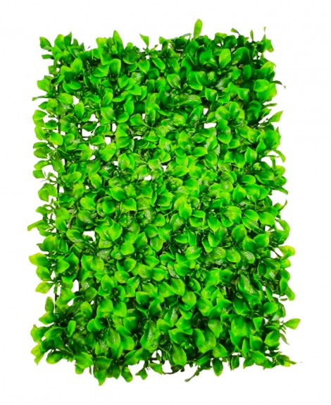 Grama  Hoja  Gruesa  40 X 60
