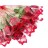 Rosa  Individual  Pequeña (12 Pza)